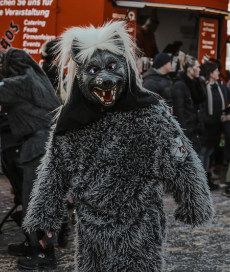 Alpha-Wolf Image